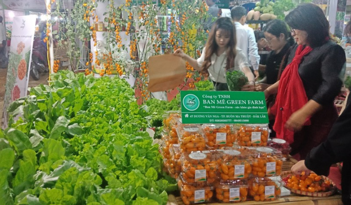 Kết nối các doanh nghiệp khu vực Tây Nguyên vào hệ thống phân phối nước ngoài
