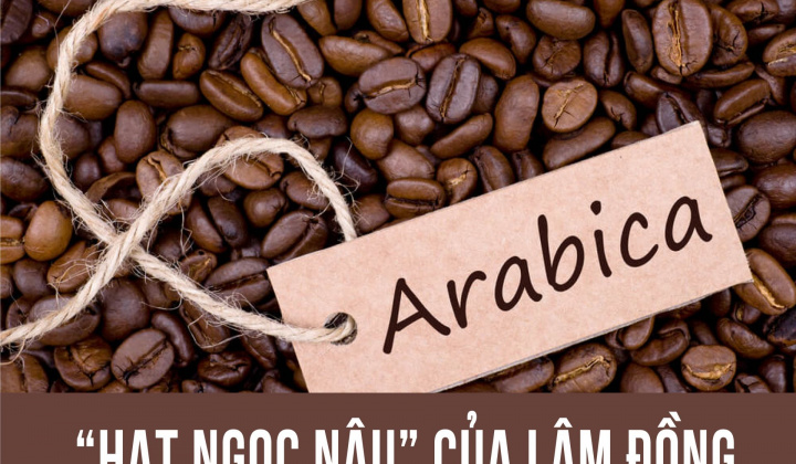 Cà phê Arabica: “Hạt ngọc nâu” của Lâm Đồng