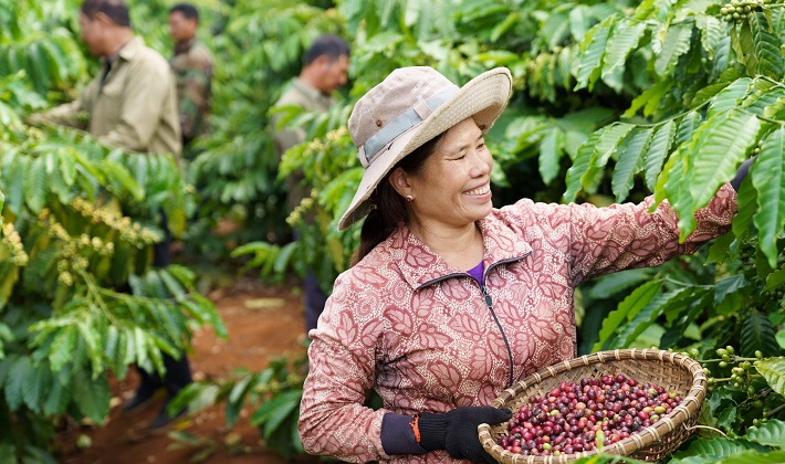Nestlé và hành trình nông nghiệp tái sinh ứng phó với biến đổi khí hậu