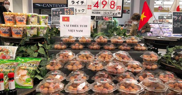 Thúc đẩy doanh nghiệp tham gia trực tiếp các mạng phân phối nước ngoài