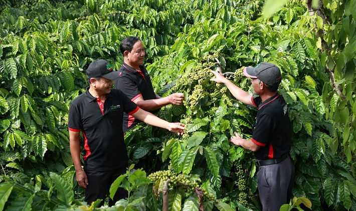 Nestlé chia sẻ giải pháp xuất khẩu sản phẩm Việt ra thế giới
