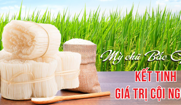 Mỳ Chũ Bắc Giang: Kết tinh giá trị cội nguồn