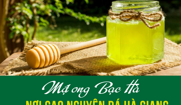 Mật ong Bạc Hà nơi cao nguyên đá Hà Giang