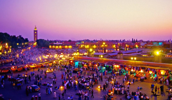 Thị trường Ma Rốc, Bờ Biển Ngà  muốn kết nối giao thương với Việt Nam