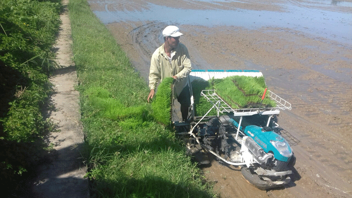Trung tâm Khuyến nông và Dịch vụ nông nghiệp Tiền Giang: Phát huy vai trò tiên phong trong thực hiện tái cơ cấu ngành Nông nghiệp Tiền Giang
