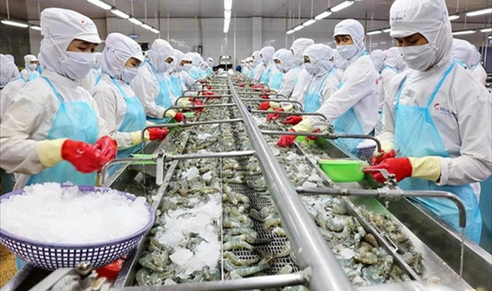 Doanh nghiệp xuất khẩu cần tìm hiểu kỹ quy định an toàn thực phẩm