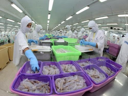 Xuất khẩu tôm sang Úc liên tục tăng trưởng mạnh