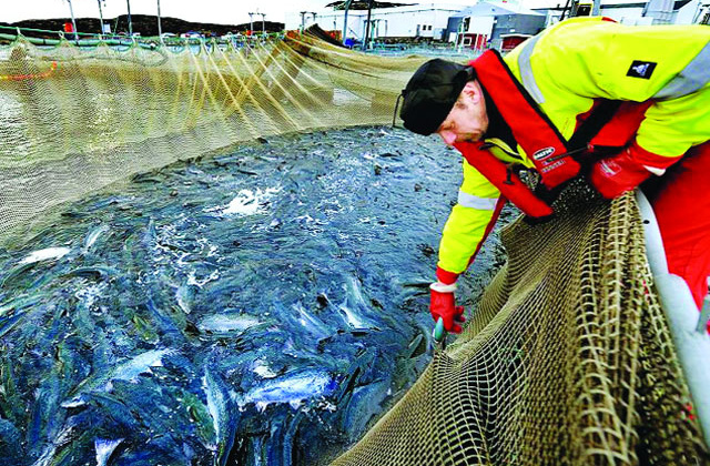 Một số quy định khi xuất khẩu thuy sản vào Canada doanh nghiệp cần lưu ý