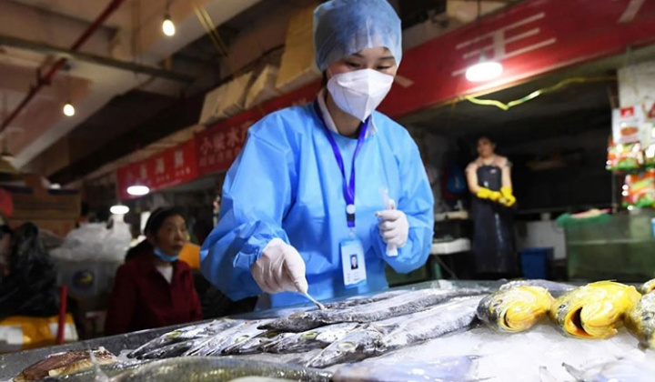Trung Quốc hủy quy trình xét nghiệm COVID đối với thủy sản nhập khẩu