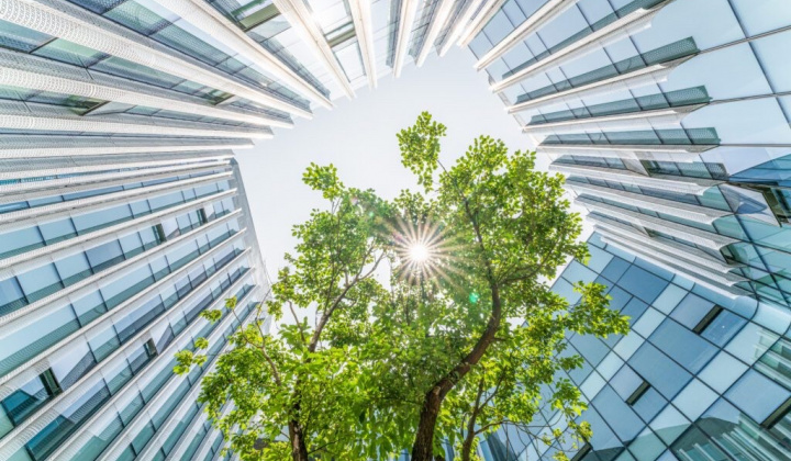 Schneider Electric là doanh nghiệp dẫn đầu trong Báo cáo Green Quadrant