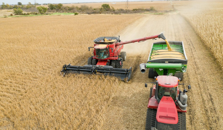 Giá đậu tương thế giới tiếp tục tăng mạnh, nhu cầu thu mua ở mức cao