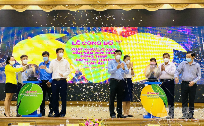 Đồng Tháp xuất khẩu 3 tấn xoài Cát Chu sang châu Âu