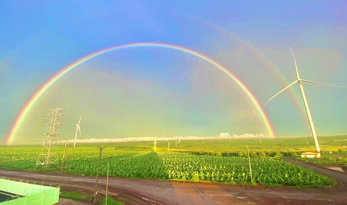 Đấu nối nguồn năng lượng tái tạo vào lưới điện truyền tải: Kinh nghiệm từ Truyền tải điện Gia Lai
