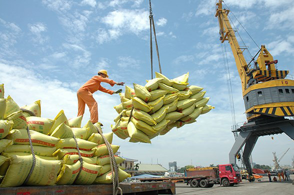 Dồn dập tin vui cho xuất khẩu gạo