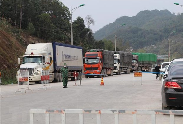 Lạng Sơn: Trên 100 xe nông sản thông quan trong vòng 1 ngày qua
