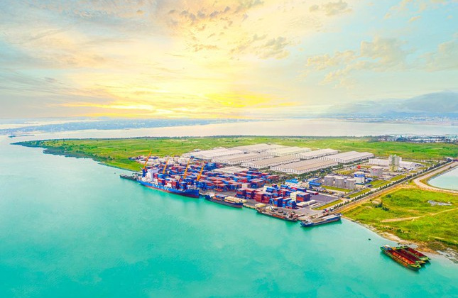 THILOGI phát triển dịch vụ logistics xuất khẩu nông sản với sản lượng lớn