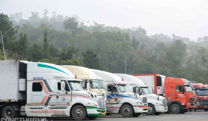 Xử lí nghiêm các hành vi lợi dụng tình trạng ùn tắc hàng hoá để vi phạm pháp luật