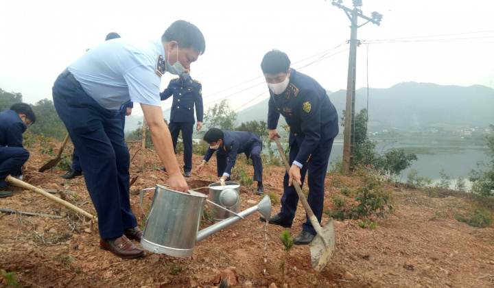 QLTT Hải Dương: Ra quân trồng 1.000 cây xanh tại Chí Linh