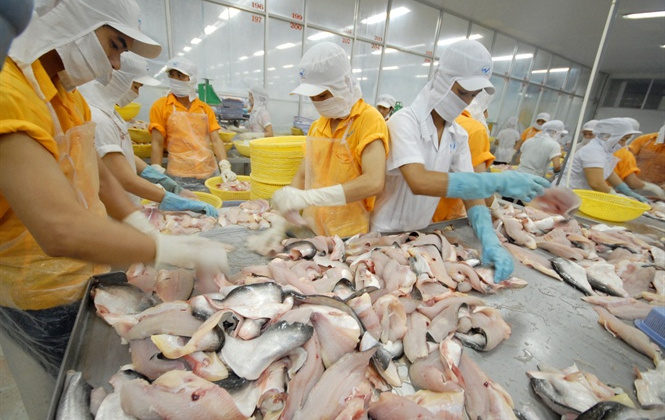 Đề nghị công nhận thêm 6 doanh nghiệp được xuất khẩu cá tra vào Hoa Kỳ