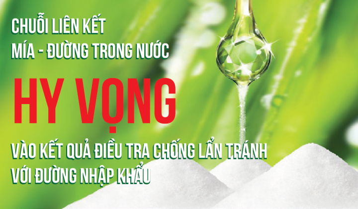 Chuỗi liên kết mía - đường trong nước hy vọng vào kết quả điều tra chống lẩn tránh với đường nhập khẩu