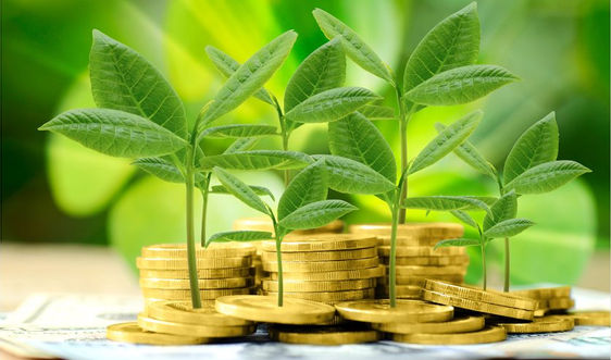 Ngân hàng xanh - Bảo vệ môi trường: Sáng kiến cho phát triển bền vững tại Việt Nam