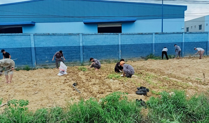 Tuổi trẻ VINACHEM: Thiết thực hưởng ứng “Ngày Chủ nhật Xanh” năm 2022