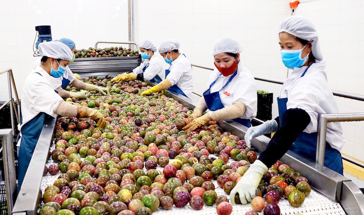Xuất khẩu nông sản sang Nhật Bản: Linh hoạt đáp ứng những thay đổi của thị trường