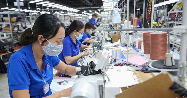 Doanh nghiệp lấy lại đà tăng trưởng nhờ thị trường nội địa
