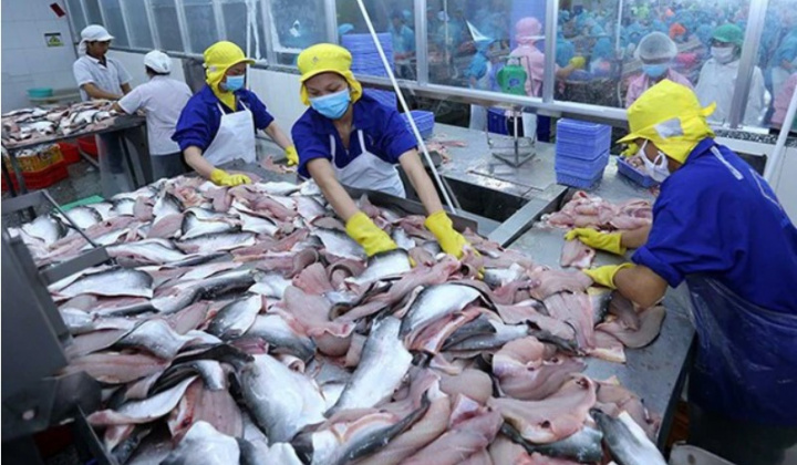 Cơ hội vàng cho Việt Nam xuất khẩu cá tra sang thị trường Anh