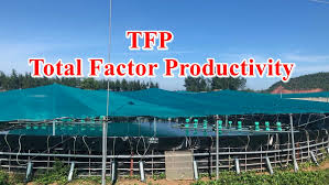 Vai trò, tác động của năng suất nhân tố tổng hợp đối với tăng trưởng kinh tế Việt Nam