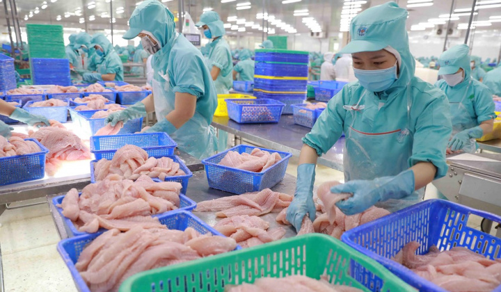 Xuất khẩu cá tra sang Canada tăng hơn 69%