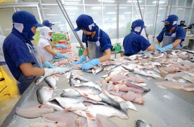 Việt Nam có thêm 6 nhà máy cá tra được phép xuất khẩu sang Mỹ
