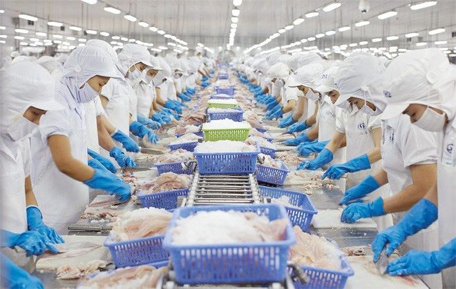 Xuất khẩu thủy sản sang Australia dự báo tăng mạnh nhờ tận dụng Hiệp định RCEP