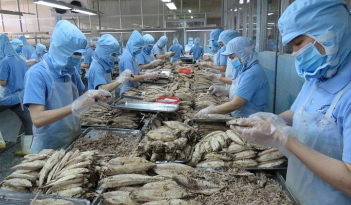 Hỗ trợ doanh nghiệp thủy sản Việt Nam tìm kiếm đối tác tại thị trường RCEP