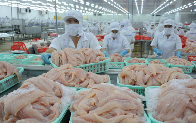 Xuất khẩu cá tra sang thị trường Mỹ và Trung Quốc ghi nhận tăng trưởng 3 con số