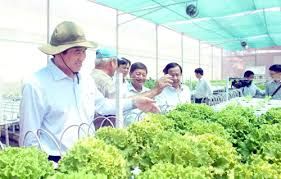 Giải pháp thúc đẩy quá trình chuyển đổi sang doanh nghiệp của các hộ kinh doanh