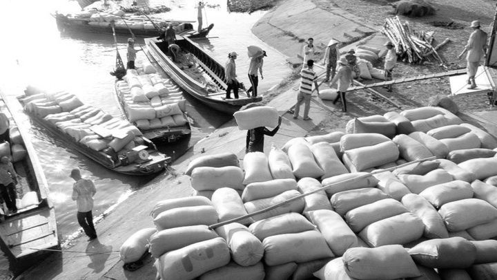 [Truyền thống Công Thương] Từ nhập khẩu bo bo đến xuất khẩu những lô gạo đầu tiên