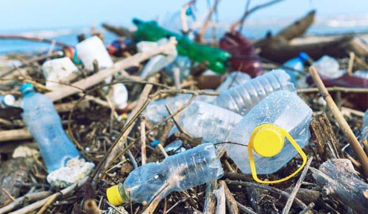 Rác thải nhựa và một số giải pháp nhằm hạn chế tác hại do rác thải nhựa gây ra