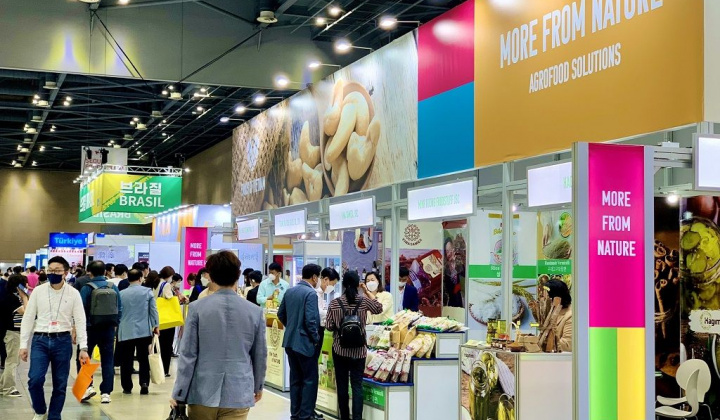 Điểm chung trong mối quan hệ song phương ở châu Á