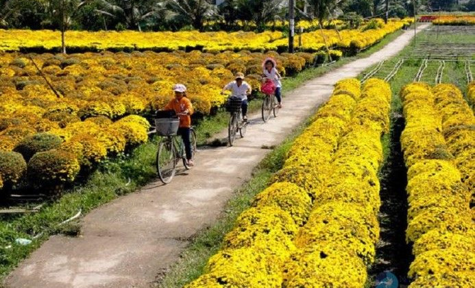 4 địa phương đạt chuẩn, hoàn thành nhiệm vụ xây dựng nông thôn mới