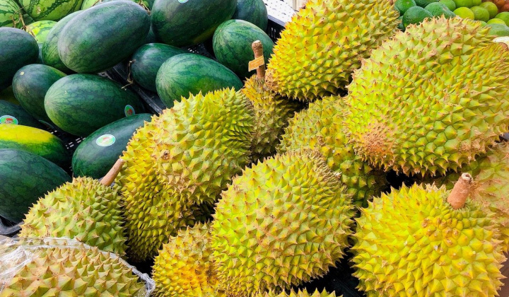 Mở đầu ra bền vững cho sầu riêng tươi tại thị trường Trung Quốc