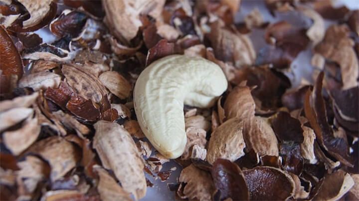 Tổng hợp nhựa bakelite từ dầu vỏ hạt điều ứng dụng phủ trên bề mặt vật liệu sheet molding compound (SMC)