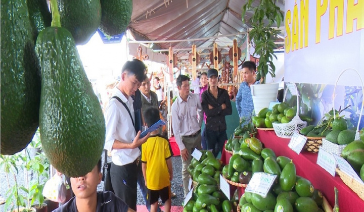 Đào tạo thực chiến Chương trình “Bệ phóng Thương mại điện tử Tây Nguyên”