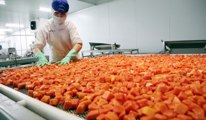 Xây dựng mô hình đánh giá hiệu suất năng lực kinh doanh thương mại của doanh nghiệp xuất khẩu nông phẩm