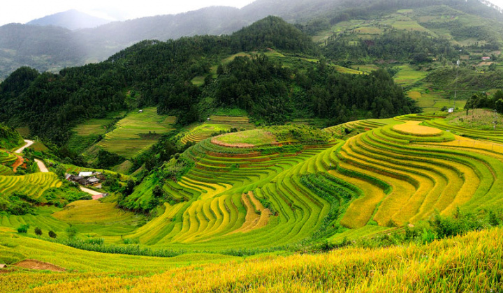 Phân bón Văn Điển: "Khoác áo mới" cho nông sản miền núi phía Bắc