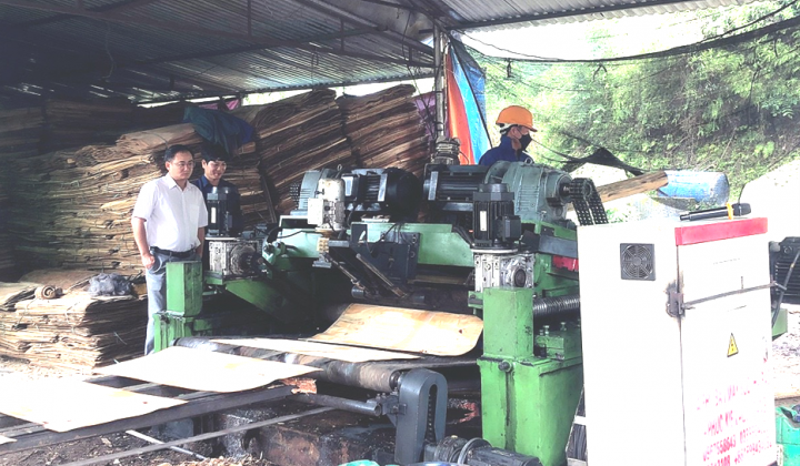 Cao Bằng: Nghiệm thu đề án “Hỗ trợ ứng dụng máy móc thiết bị tiên tiến trong sản xuất các sản phẩm từ gỗ”