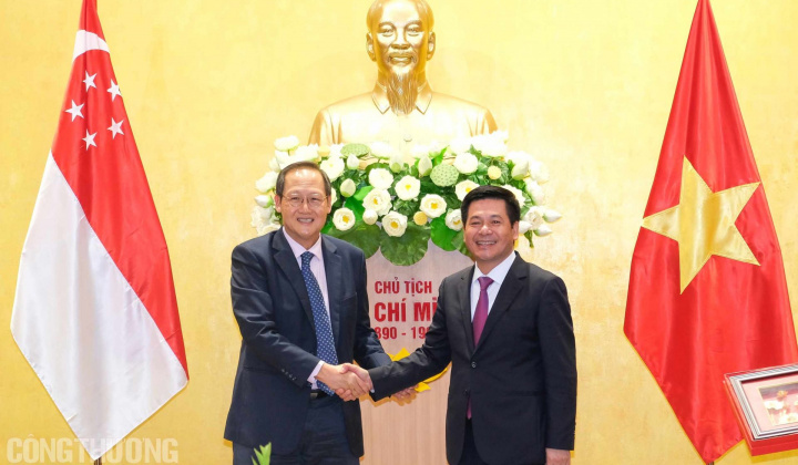 Việt Nam - Singapore: Thúc đẩy hợp tác trong lĩnh vực thương mại, kinh tế số và năng lượng