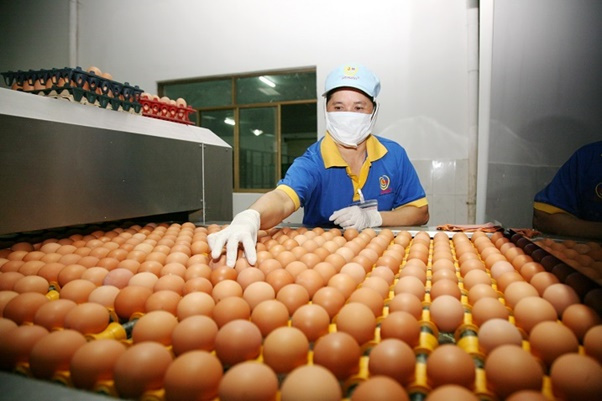 Đề xuất hạn ngạch nhập khẩu thuốc lá nguyên liệu và trứng gia cầm từ EAEU