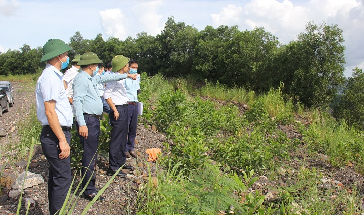 Nâng cao năng lực xử lý nước thải mỏ