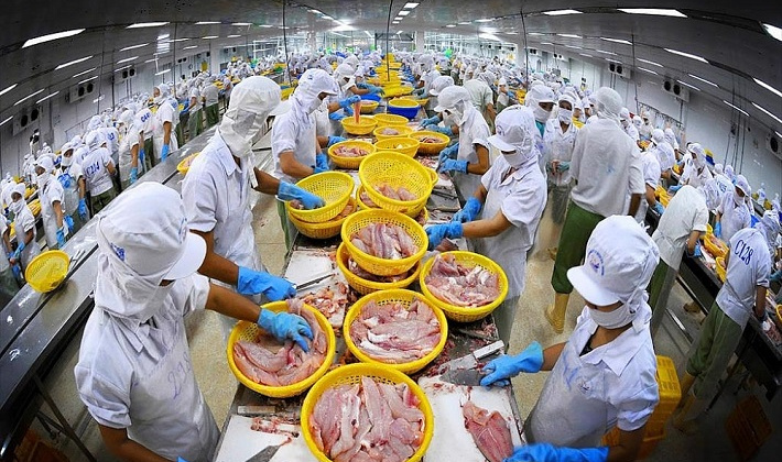 Dự báo xuất khẩu cá tra sang Mexico năm 2022 tăng 80% so cùng kỳ